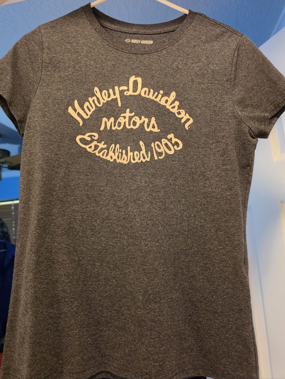 Cute and Comfy Harley-Davidson Medium Charcoal Gray Tee with Cream Logo.